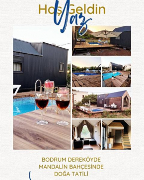 Bodrum Artemis Lodging and Wellness